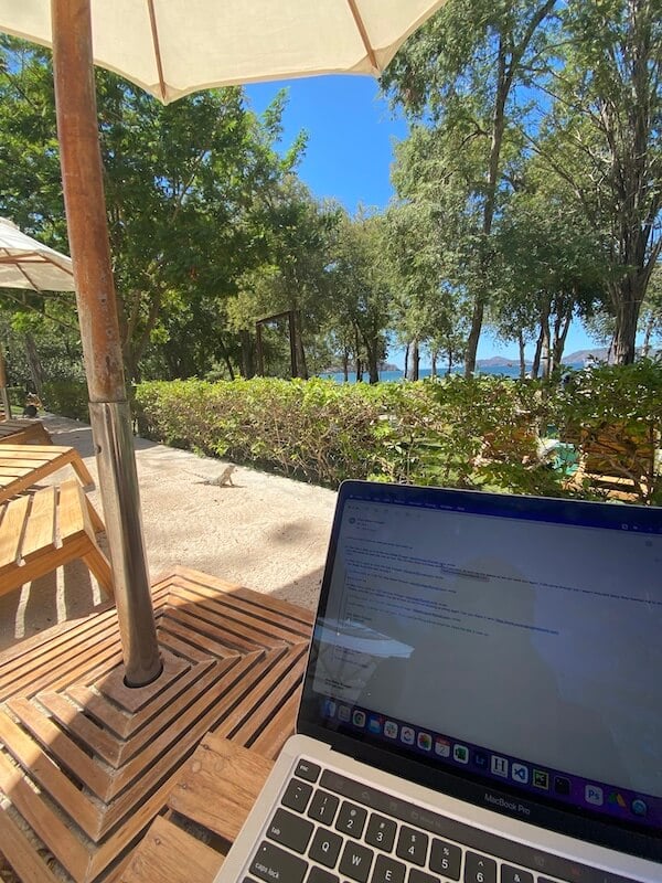 Laptop on the beach with a lizard