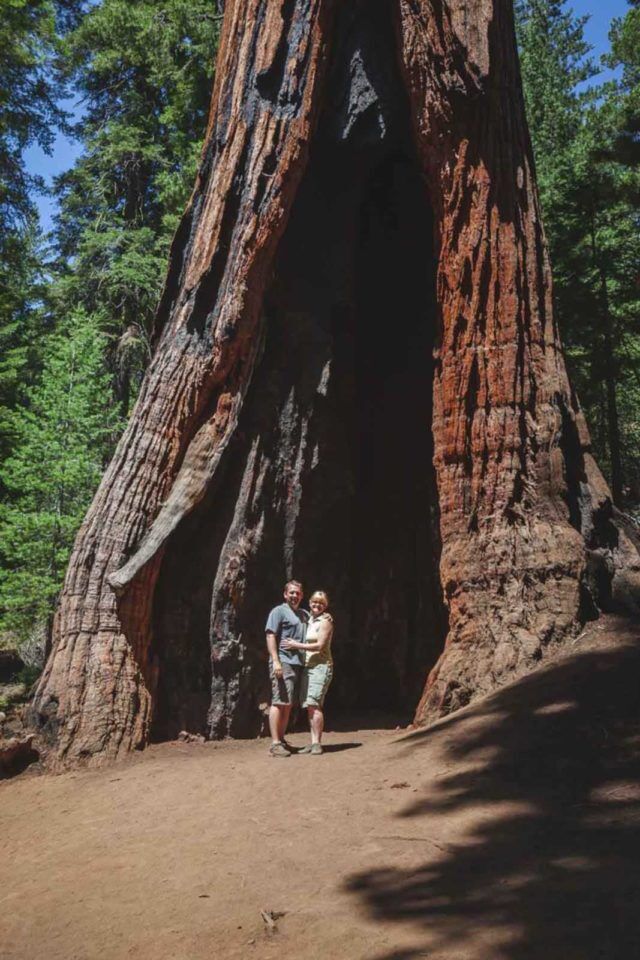 where to stay in yosemite national park dave and deb mariposa grove