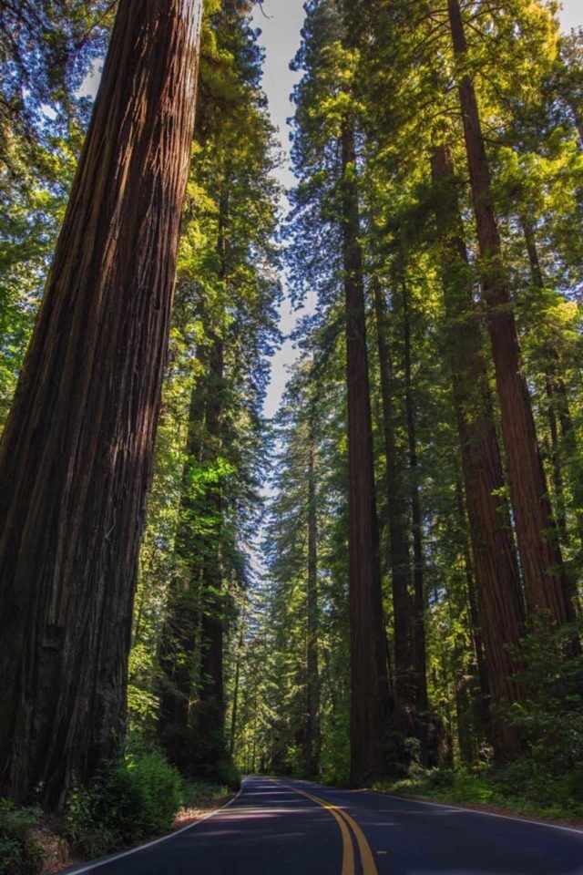 camping in big sur california limekiln