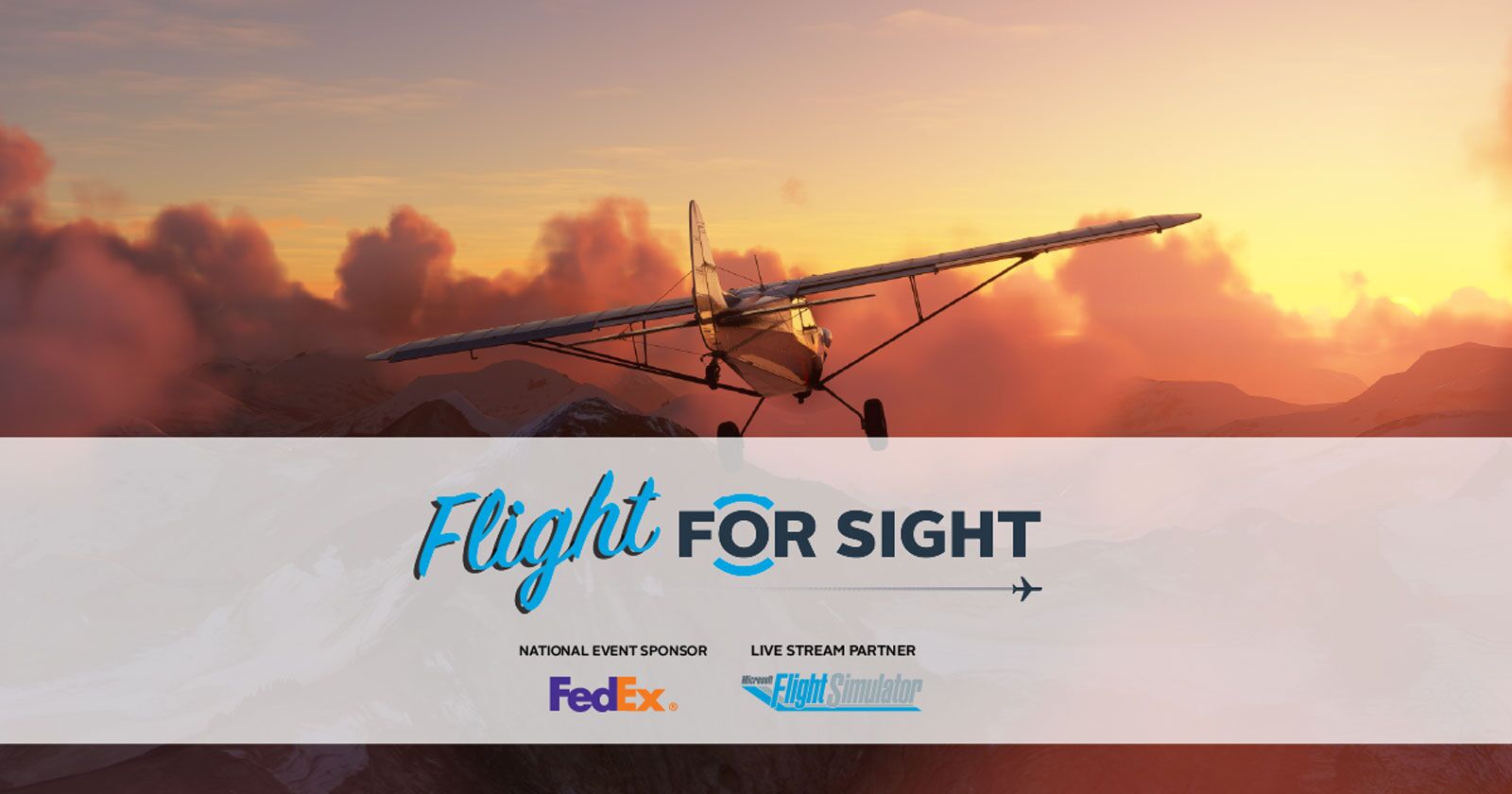 flight from sight