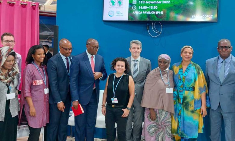 Photo of AFAC Unveils New Strategic Vision to Catalyze Private Finance for Climate Action Across Africa |  African Development Bank