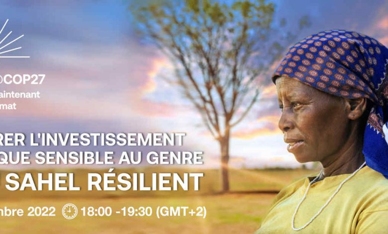 Photo of COP 27: Session on the theme “Accelerating gender-responsive climate investments for a resilient Sahel” |  African Development Bank