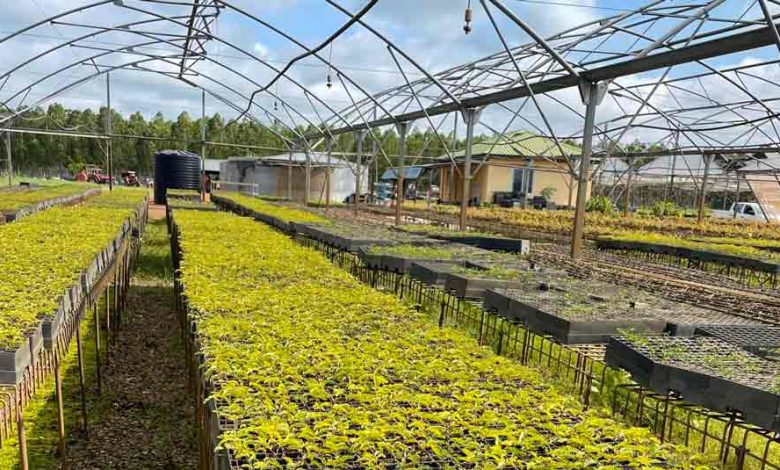 Photo of African Development Bank’s Sustainable Energy Africa Fund for Africa approves a $1 million repayable grant to develop bioenergy plants in Ghana and Sierra Leone |  African Development Bank