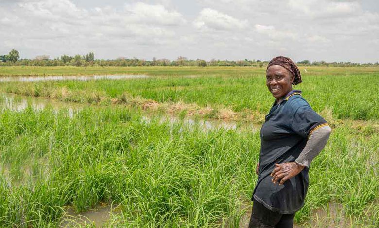 Photo of Crucial replenishment meeting for the African Development Fund as it marks 50 years of support for the continent’s low-income countries |  African Development Bank