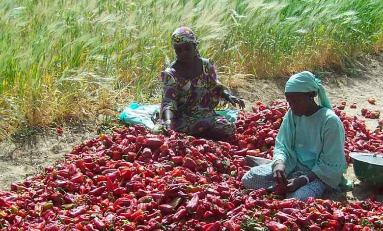 Photo of Democratic Republic of Congo: African Development Fund provides $12 million grant to develop financial market and drive financial inclusion |  African Development Bank