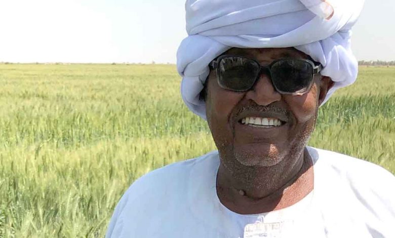 Photo of Sudan: African Development Bank Group commits nearly $74 million to boost wheat production |  African Development Bank