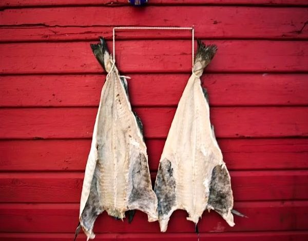 Photo of Some of the world’s best seafood restaurants are at their best right now, plus the top 15 seafood restaurants in Fjord Norway

 /  2023-01-14 23:47:45 