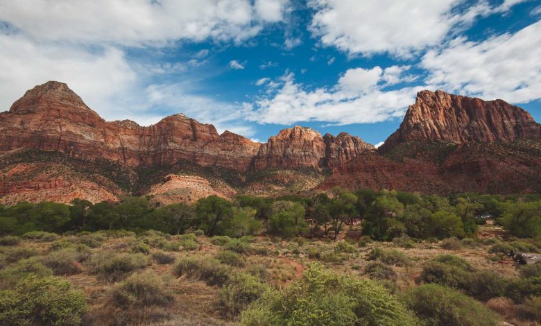 Photo of 12 Best Hikes in Zion National Park, Utah

 /  2023-01-20 14:01:33 