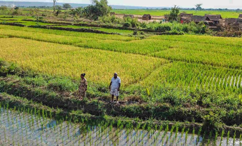 Photo of Climate shocks: the African Development Bank donates $19.25 million to Madagascar to deal with the multiple risks of natural disasters |  African Development Bank