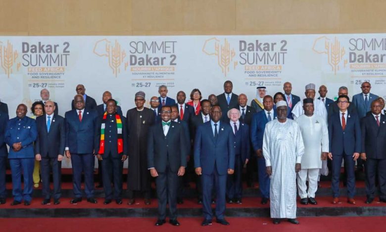 Photo of Feed Africa Summit: African Development Bank commits $10 billion to make continent the breadbasket of the world |  African Development Bank