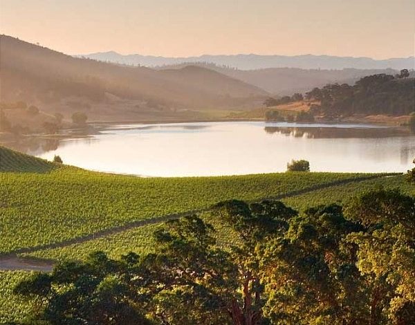 Photo of Six Senses Napa Valley brings wellness and sustainability

 /  2023-02-02 00:27:08 