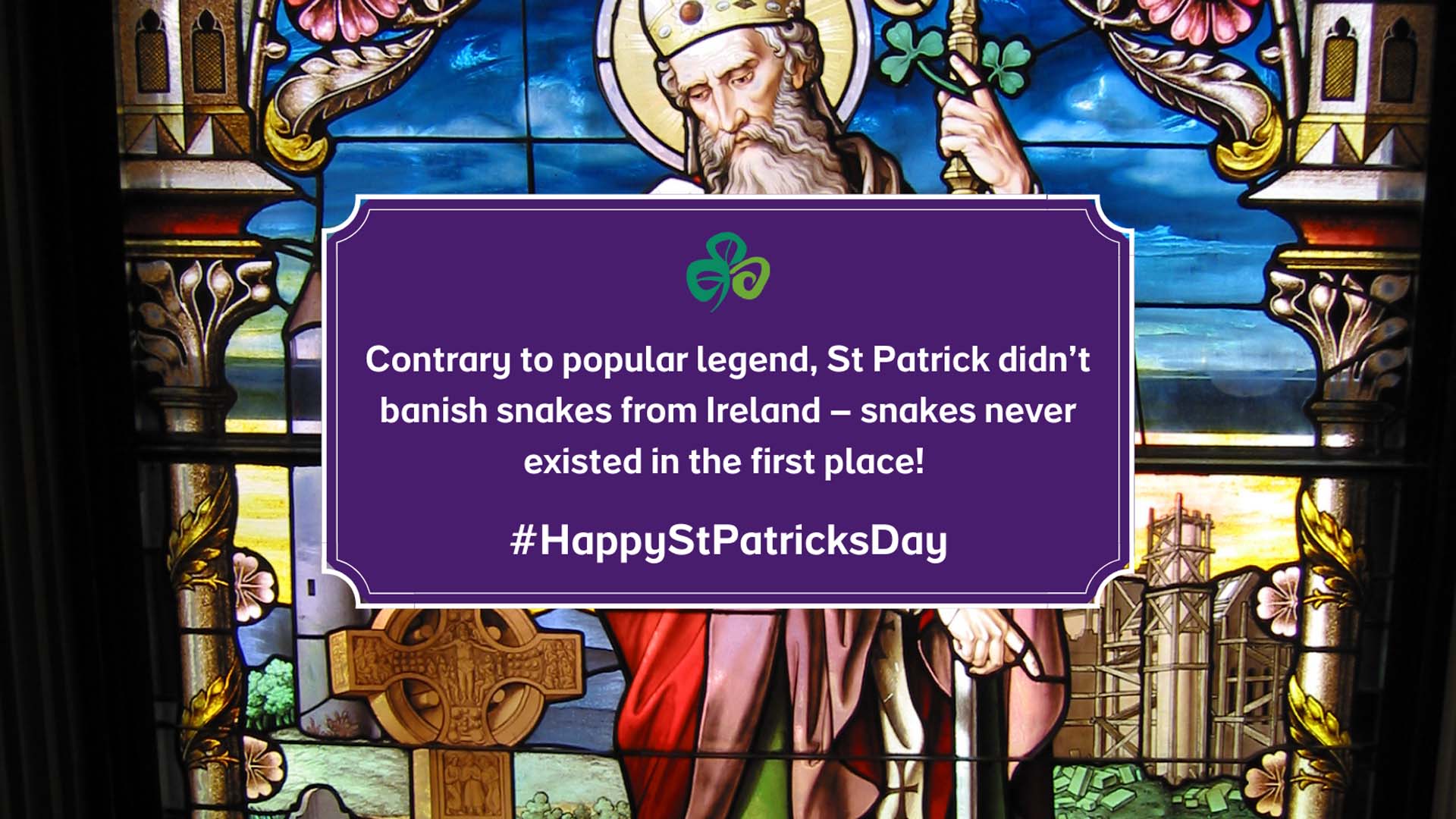 st patrick's day facts about the snake 