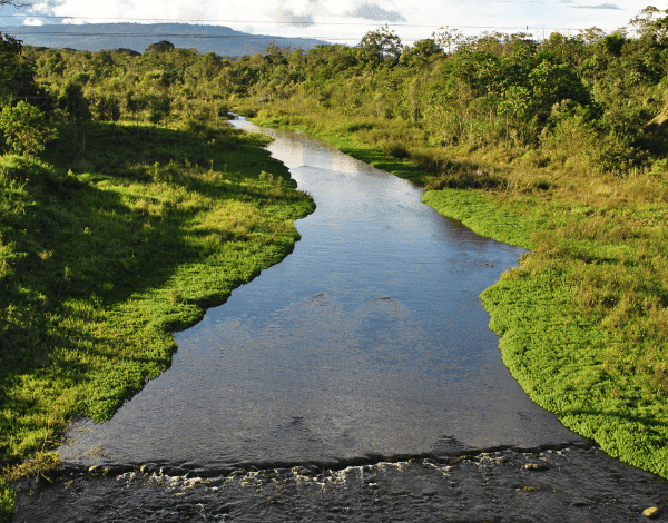 Photo of The Ecuadorian Amazon: a paradise in South America, and activities you must do there

 /  2023-03-24 23:55:10 