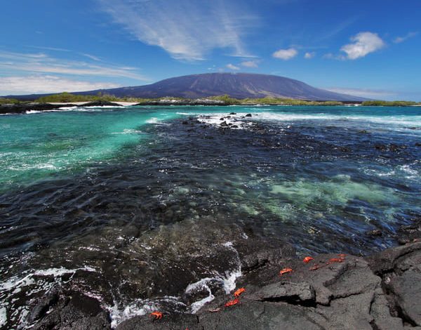 Photo of The 7 most beautiful places to take pictures in Galapagos

 /  2023-03-26 17:04:08 