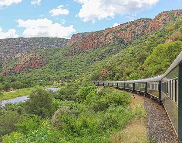 Photo of A luxurious mother-and-son trip to Southern Africa

 /  2023-04-17 21:13:51 