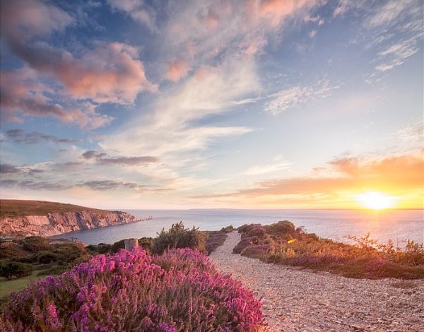 Photo of 8 reasons to visit the Isle of Wight, UK

 /  2023-04-22 23:03:06 