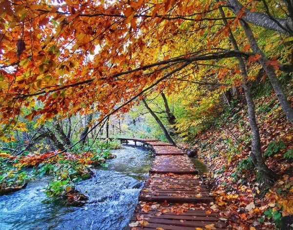 Photo of Seasonal highlights of Plitvice Lakes National Park

 /  2023-04-26 11:09:48 