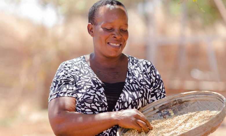 Photo of Hear from smallholder women how digital microinsurance, along with digital agronomy tips, can help them mitigate climate and other risks to their crops.  |  African Development Bank