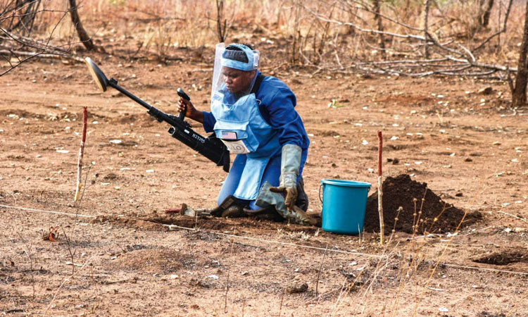 Photo of Removing landmines protects people and restores habitats