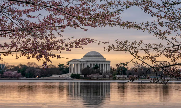 Photo of When a monument turns 80, it gets a boost