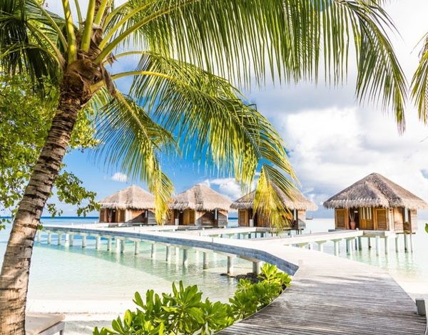 Photo of Wellness, sustainability and luxury living in the Maldives

 /  2023-06-16 05:08:14 