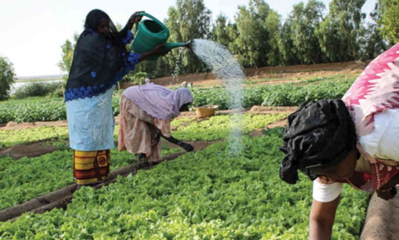 Photo of Sahel Region: African Development Bank Provides Nearly $1 Million in Gender-Based Grants to Increase Opportunities for Women-Led Businesses |  African Development Bank