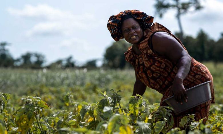 Photo of Ivory Coast: African Development Bank provides €400 million in partial credit guarantees to mobilize funds for ESG projects |  African Development Bank Group