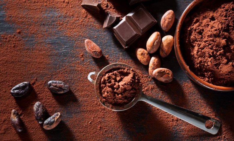 Photo of The Chocolate Mystery: How Ecuador Discovered the Origin of the Cocoa Tree