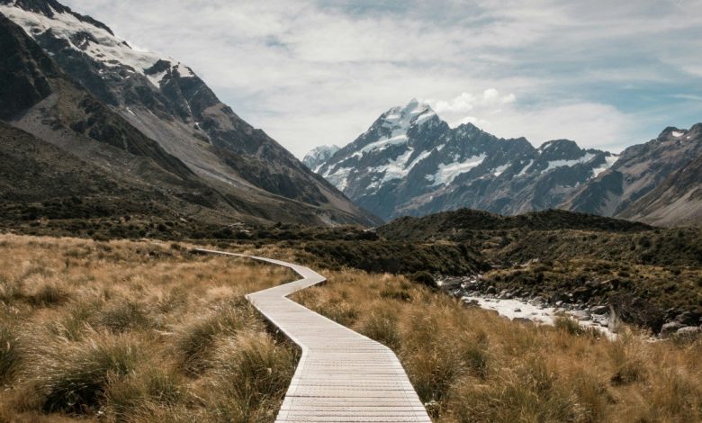 Photo of Navigating New Zealand: Private Guided Travel vs.  standard rounds