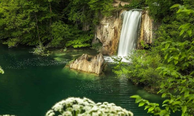 Photo of The magical beauty of the Upper Lakes of the Plitvice Lakes National Park