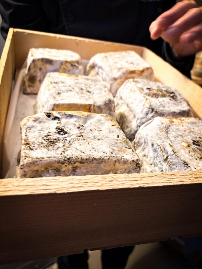 Close-up of rustic wheels of cheese maturing in a wooden box in Paroles de Fromagers, Paris.