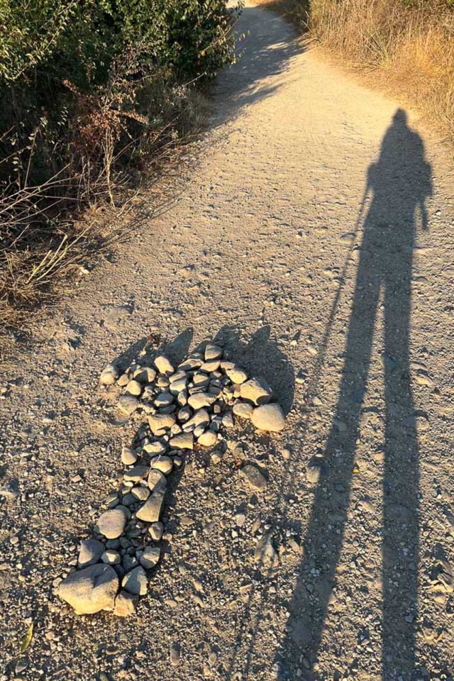 Walking the Camino de Santiago