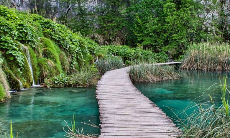 Photo of Why Plitvice Lakes National Park should be on your travel bucket list