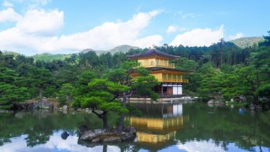 Photo of Kinkaku-ji: cultural heritage profile