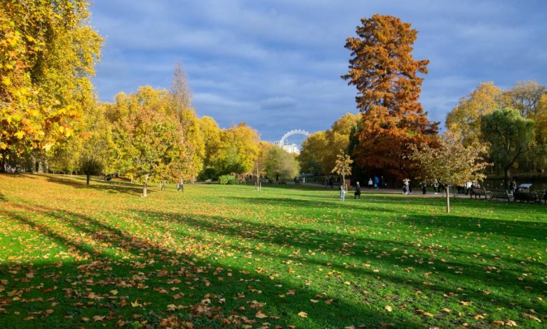 Photo of St James’s Park: cultural heritage profile